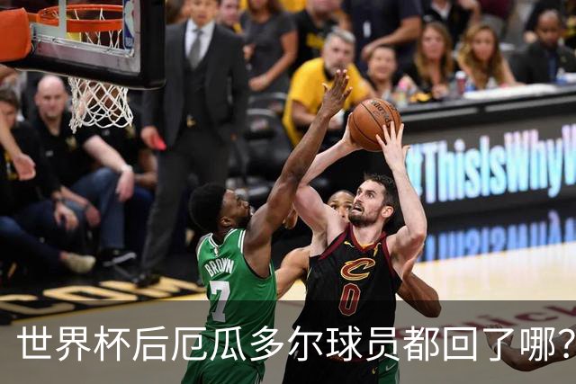 世界杯后厄瓜多尔球员都回了哪？输给墨西哥后他们各归其主