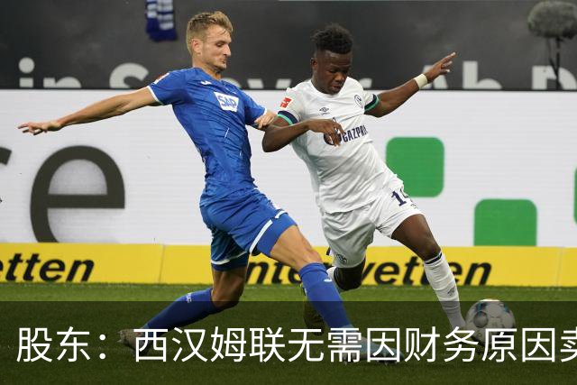 股东：西汉姆联无需因财务原因卖核心球员，要以最快速度重返英超