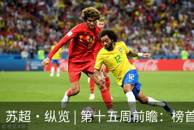 苏超·纵览 | 第十五周前瞻：榜首之位悬念再起，两位"南哥"同一种烦恼